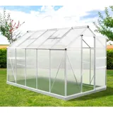 Westmann Aluminium Gewächshaus Flora 610 Silber 312x192x201 cm