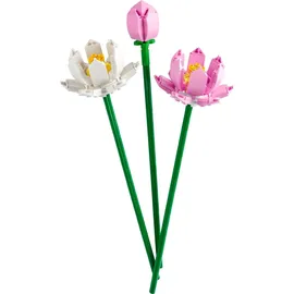 LEGO Botanicals Lotusblumen 40647