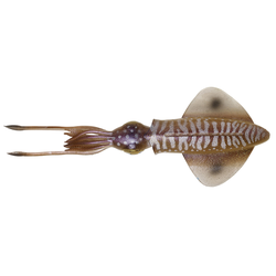 3D Swim-Squid Tintenfisch Kunstköder 12,5 cm