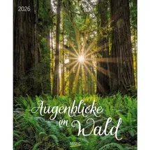 Korsch Verlag Augenblicke im Wald 2026