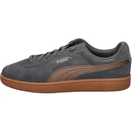Puma Smash 3.0 Grau/Bronze 40,5