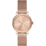 DKNY Watch NY6686