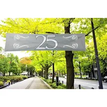 Folat Banier 25 Jubileum 180 x 40 cm Silber