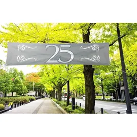 Folat Banier 25 Jubileum 180 x 40 cm Silber