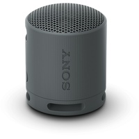 Sony SRS-XB100 schwarz