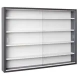 Interlink Inter Link Sammlervitrine Gewürzschrank Hängevitrine Wandregal Collecty Grau (80 x 9 cm)