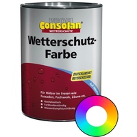 Profi Consolan Wetterschutz-Farbe RAL 7001 Silbergrau Wunschfarbton 2,5 L