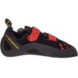 black/poppy 41
