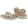 beige 36