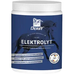 DERBY Elektrolyt 1 kg – Diätfuttermittel für Pferde bei Elektrolytverlust
