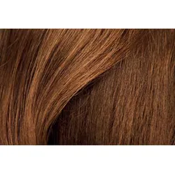 Hairfor2 Haarauffüller Kastanienbraun 300 ml