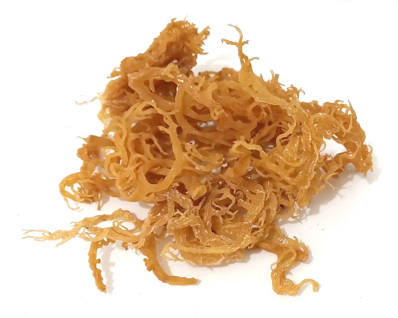 Irish Moss weiß - roh (0.1kg)