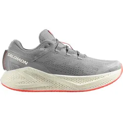 SALOMON Herren Laufschuhe SHOES AERO GLIDE 3, Alloy/Vanilla Ice/Neon Flame, 44