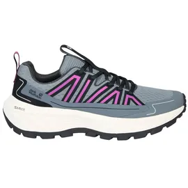 Jack Wolfskin Wild Hike Low Schuhe (Größe 41, grau)