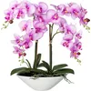 Kunstorchidee »Deko-Orchidee Phalaenopsis in Keramikschale«, lila