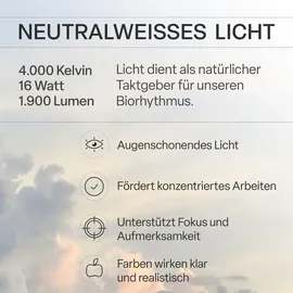 B.K.Licht LED Panel 1 24 cm rund schwarz