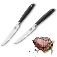 Amefa TENDERLOIN Steakmesser Set 2-teilig