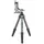 leofoto Ranger LS-365C + PG-1 Gimbal head kit