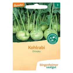 Bingenheimer Saatgut Kohlrabi Weiß Noriko