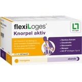 Dr. Loges Flexiloges Knorpel aktiv Kapseln 240 St.