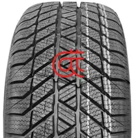 Platin RP-70 Winter 205/65 R15 94T