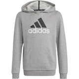 Adidas Essentials TWOCOLORED BIG LOGO COTTON Hoodie