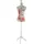 MCW Schneiderpuppe T223, Schaufensterpuppe Torso weiblich, Fiberglas Frauen
