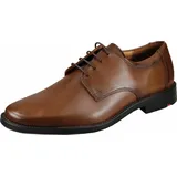 LLOYD Nevio Herren braun,