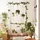 Songmics LLR401 Kleiderständer 101,0-166,0 x 113,0-180,0 grau