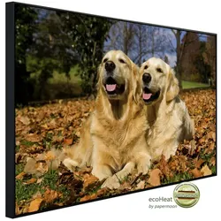 papermoon Infrarotheizung »EcoHeat - Golden Retriever«, Matt-Effekt - bunt