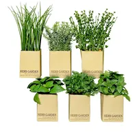 Spetebo Künstliches Kräuter Sortiment - 6er Set - Kunstpflanze