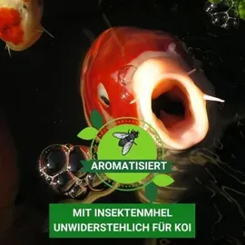 Kenkou Koi Fischfutter Vita-Immun Mix 5 kg