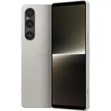 12 GB RAM 256 GB Platinsilber