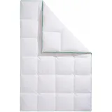 Fjödur "Fee, Extrawarm 155x220cm