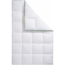 Fjödur "Fee, Extrawarm 155x220cm