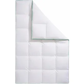 Fjödur "Fee, Extrawarm 155x220cm