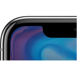 Apple iPhone X 64 GB Silber