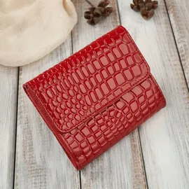 PAOLO PERUZZI Geldbörse Damen Rot