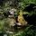 Relaxdays Buddha Figur Garten, wetterfest, frostsicher, XL Gartenbuddha sitzend, Gartenfigur, HBT: 70 cm, Gold