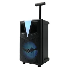 Denver TSP-307 schwarz