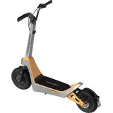 STREETBOOSTER Pollux silberorange