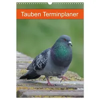 Calvendo Tauben Terminplaner (Wandkalender 2026 DIN A3 hoch), CALVENDO