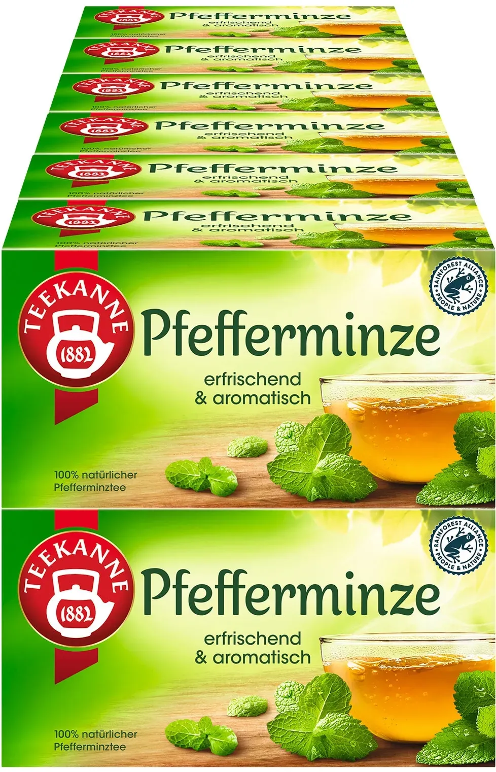 Teekanne Pfefferminze 45 g, 12er Pack