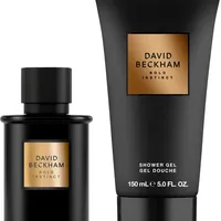 David Beckham Bold Instinct Geschenkpackung