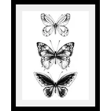 queence Bild »Schmetterlinge«, in 3 Größen, gerahmt, schwarz
