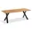 Gartentisch 260 x x