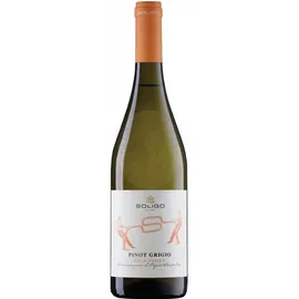 Soligo Pinot Grigio DOC 2023 0,75 l