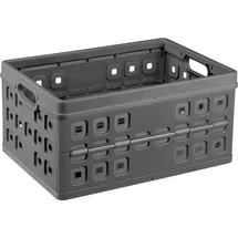 SUNWARE Klappbox the flap-line 54 x 38 x 26,5 cm 1-tlg. anthrazit