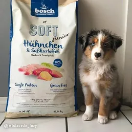 Bosch Tiernahrung HPC Soft Junior Hühnchen & Süßkartoffel 2,5 kg