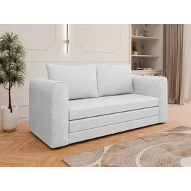 Homesy Schlafsofa Arelis – Moderne 2-Sitzer Sofa mit Bettfunktion, Bestseller, Platzsparendes Sofa mit Gästebettfunktion grau